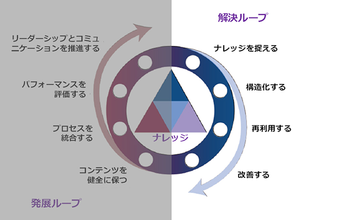 「SOLVE」ループ(解決ループ)