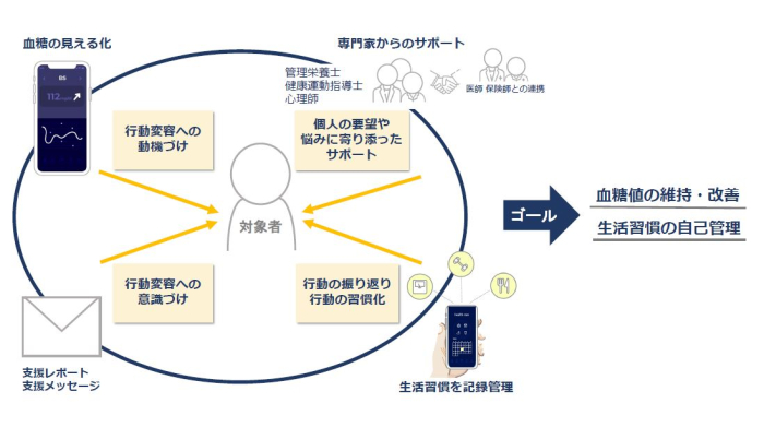 糖尿病早期対策プログラムの仕組み図