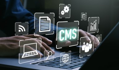 自治体向けのCMSとは？CMSの種類や導入メリット・選定ポイントもわかりやすく解説！